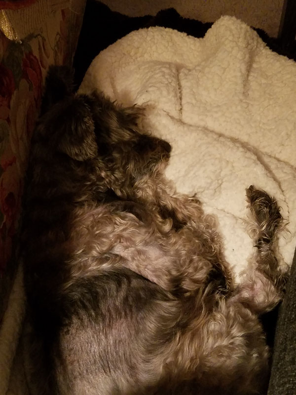 Yeast Infection Loss of Hair 2