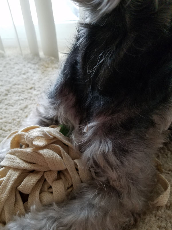 Yeast Infection Recover - Hair Regrowth 2