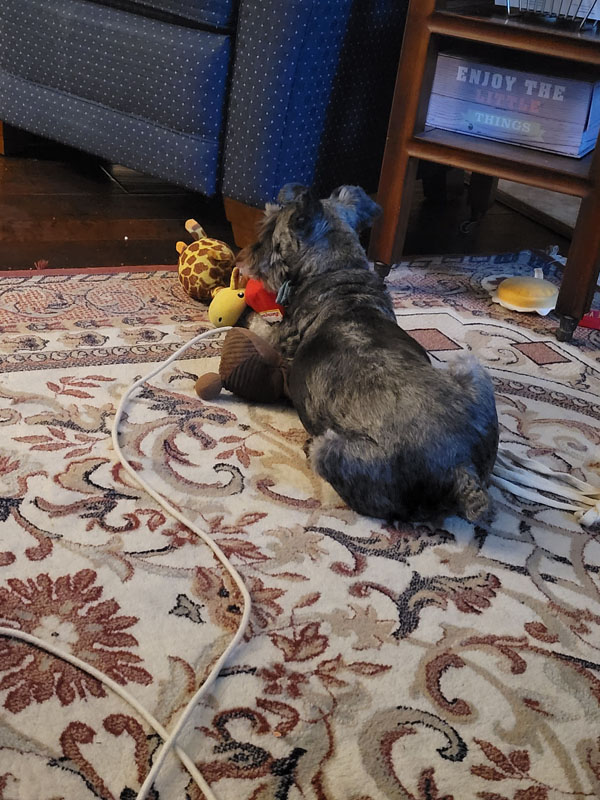 Yeast Infection Recover - Hair Regrowth 3