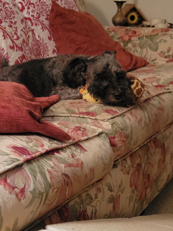 Yeast Infection Recover - Hair Regrowth 5